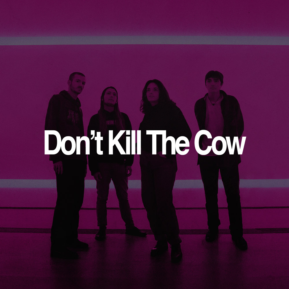 Don't Kill The Cow - Swiss Band - Book