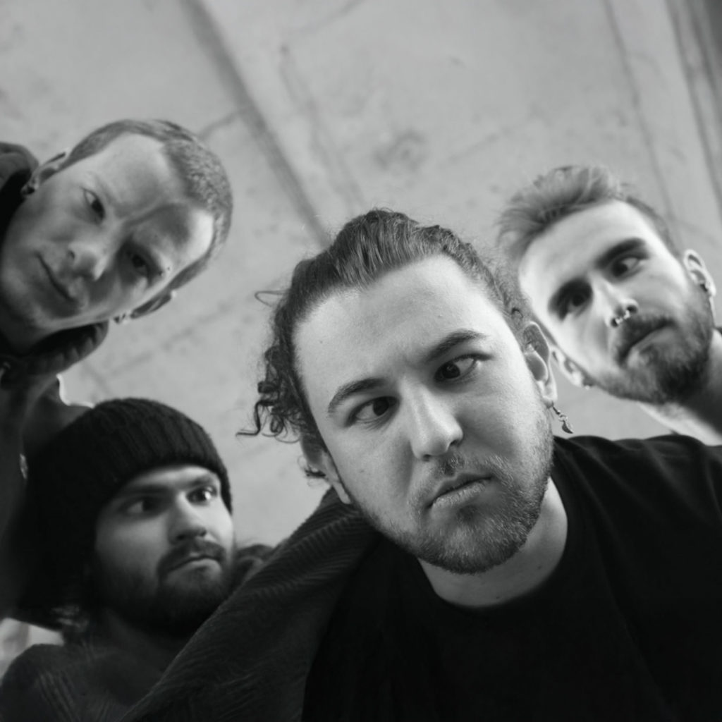 MidnightOne - Swiss Band - Book