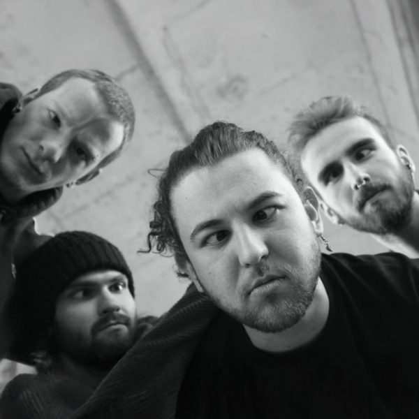 MidnightOne - Swiss Band - Book